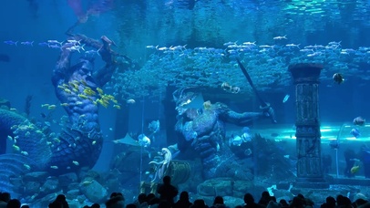 海底世界——水族馆