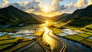 唯美夕阳小河4K