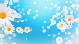 护眼唯美小雏菊