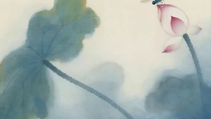 夏天荷叶蜻蜓带鱼屏