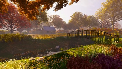 秋天树林小桥流水