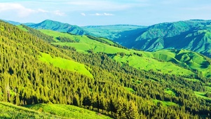 盆地大山