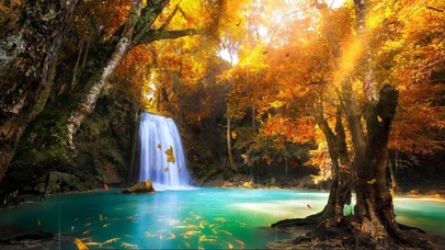 金黄落叶森林瀑布