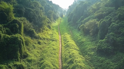 清新绿色山谷小径