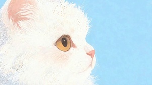 大眼萌猫