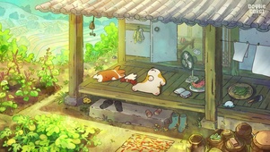 狗狗的闲暇时光