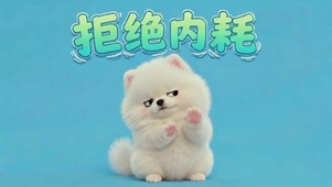 超萌博美|拒绝内耗|护眼蓝底