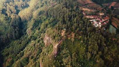 4k航拍森林风景动态壁纸