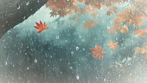 雨中秋叶