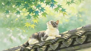 屋檐绿荫下猫咪
