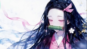 小清新淡彩祢豆子