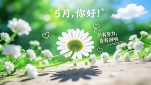 5月清新小雏菊护眼壁纸