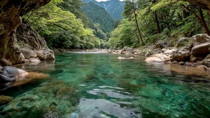 清新绿色山林溪流