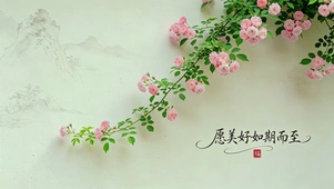 愿美好如期而至
