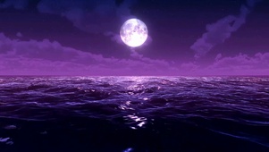 紫海