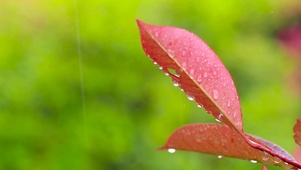 自然环境雨声