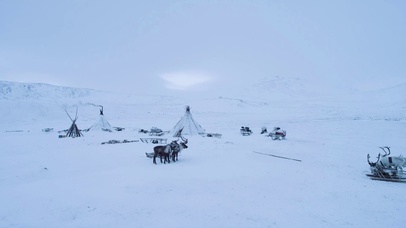 4K 高清 北极的驯鹿和蒙古包