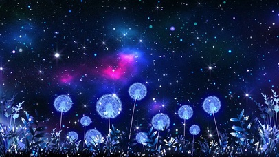 唯美浪漫的夜晚的蒲公