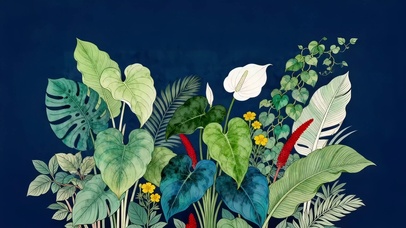 小清新鲜花