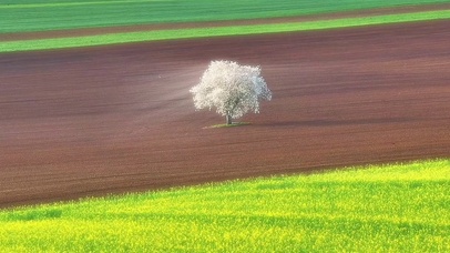人群太吵了 我想去听旷野的风