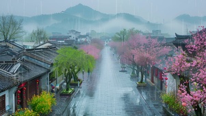 古道细雨