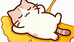睡着猫咪带鱼屏