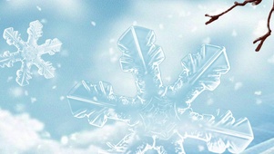 24节气小雪节气下雪雪花唯美