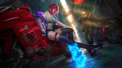 小巷中已经消失的猫咪