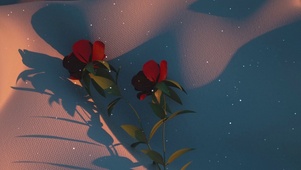 玫瑰花