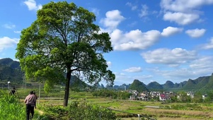 童年的夏天