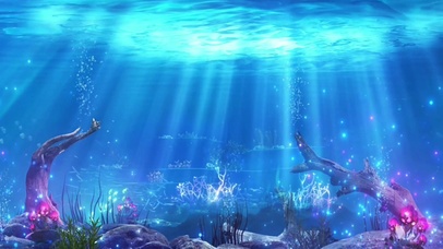 梦幻海洋