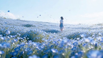 蓝色花海里的少女背影