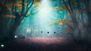 奇幻森林