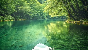 绿意河流