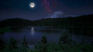 寂静森林夜晚
