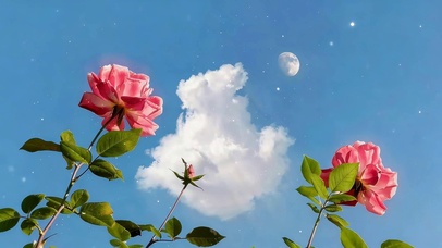 小清新鲜花