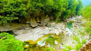 护眼绿林山涧