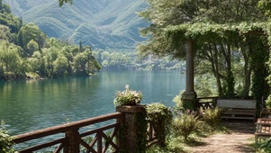 护眼绿景树木河流带鱼屏