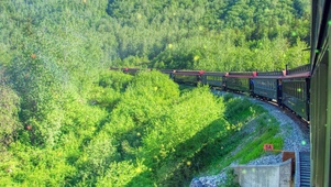丛林列车，心灵之旅