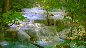 安静绿林溪水