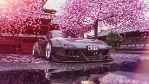 RX-7马自达樱花