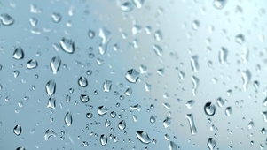 雨