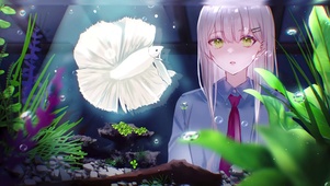 4K观鱼少女