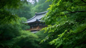 雨隐山林