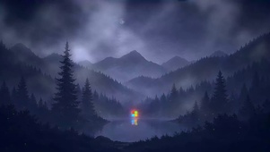 森林的夜晚