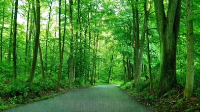 雨水倾泻，万物生长