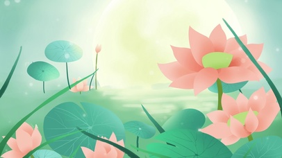 治愈唯美荷塘
