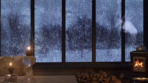 森林中舒适的小屋