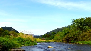 绿林山间流水