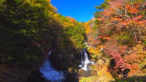 秋林山水